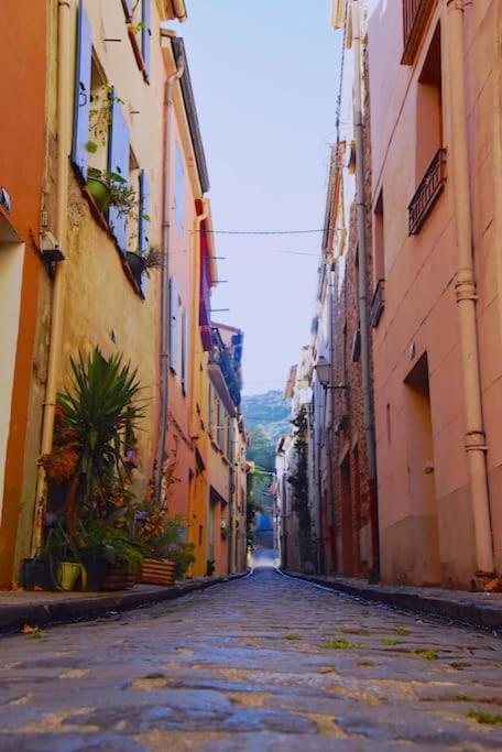 Au coeur de ville avec terrasse Céret Extérieur photo
